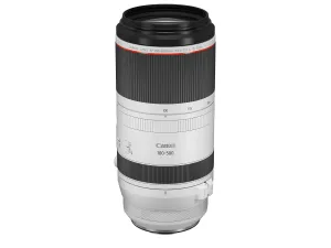 Canon RF 100-500mm f/4.5-7.1L IS USM Lens