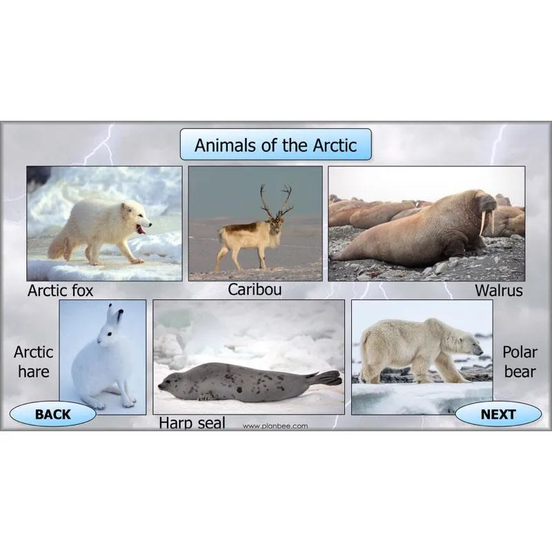 Extreme Earth Topic