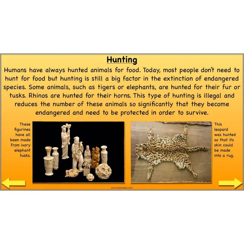 The Prehistoric World Topic (Stone Age to Iron Age)