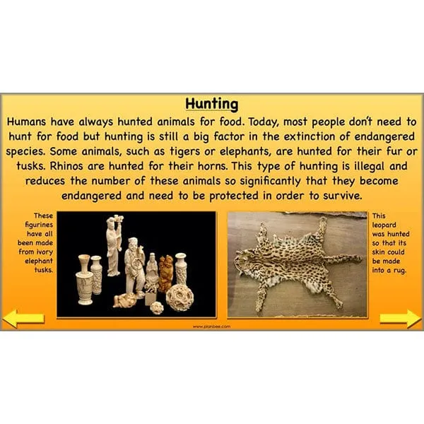 The Prehistoric World Topic (Stone Age to Iron Age)