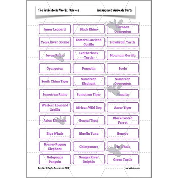 The Prehistoric World Topic (Stone Age to Iron Age)