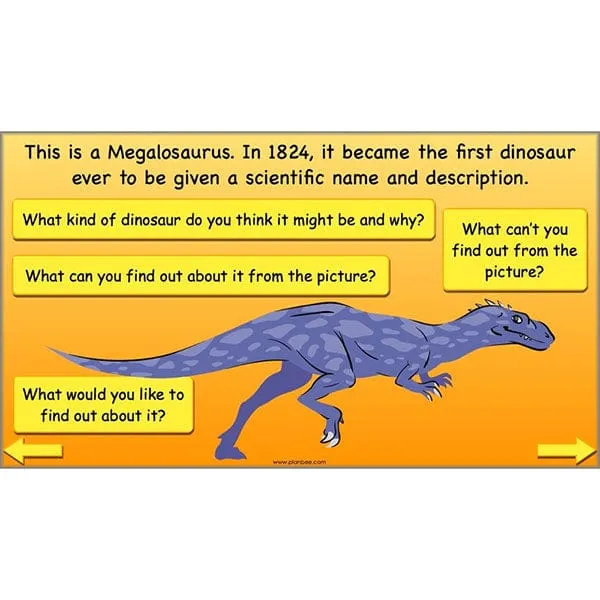 The Prehistoric World Topic (Stone Age to Iron Age)