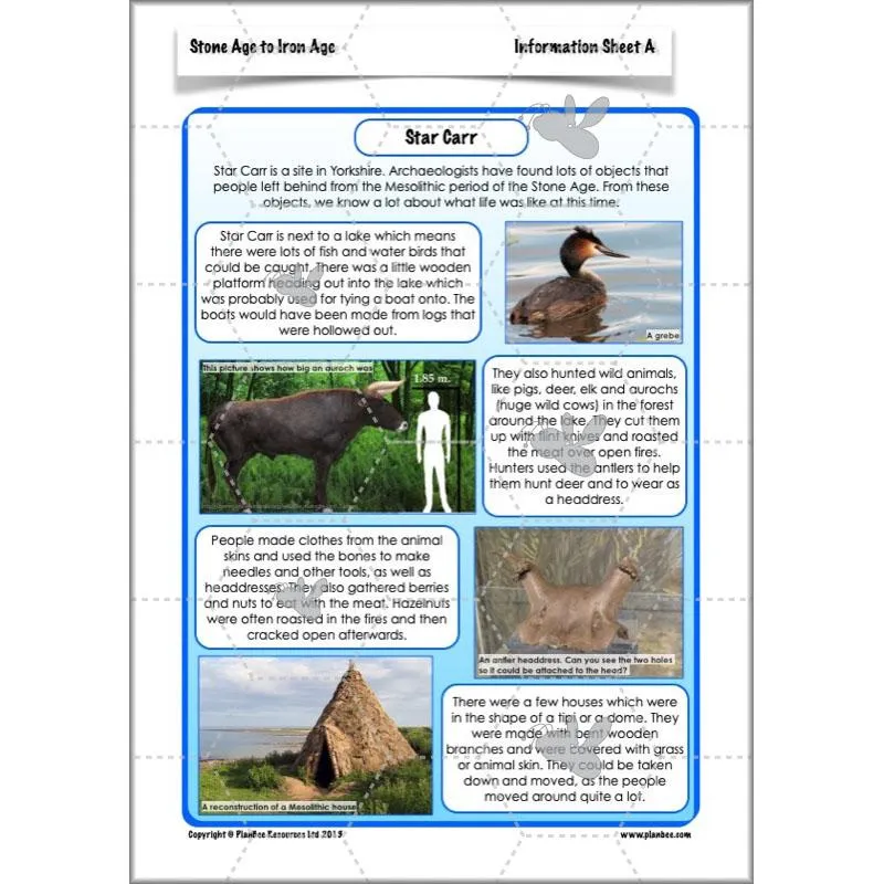 The Prehistoric World Topic (Stone Age to Iron Age)