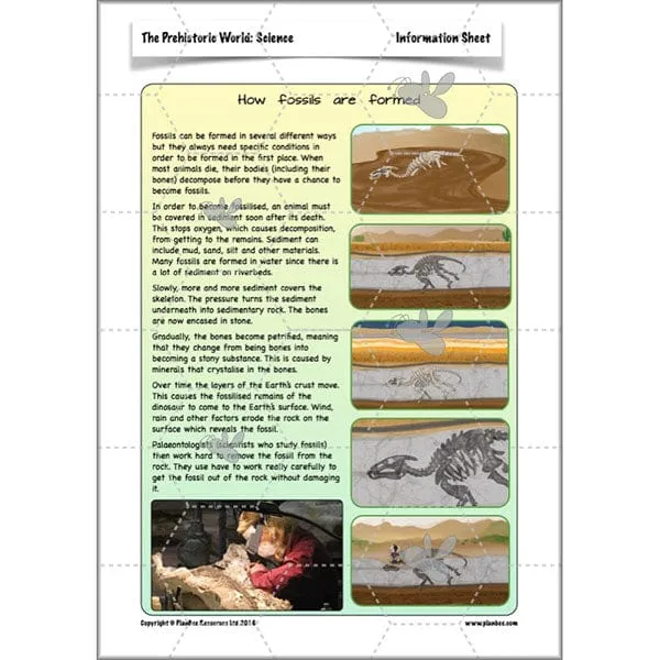The Prehistoric World Topic (Stone Age to Iron Age)