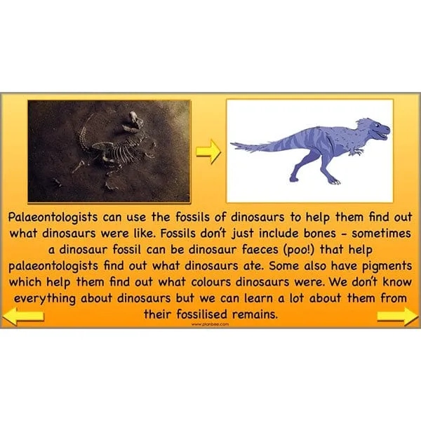 The Prehistoric World Topic (Stone Age to Iron Age)