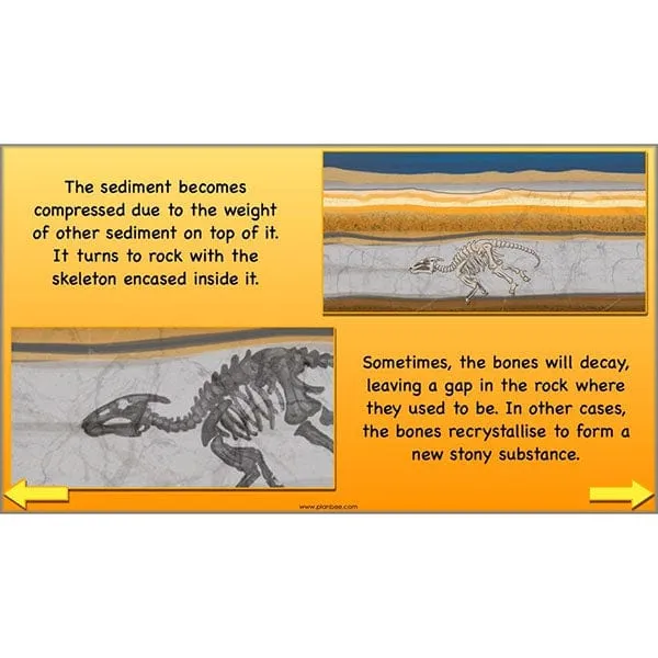 The Prehistoric World Topic (Stone Age to Iron Age)