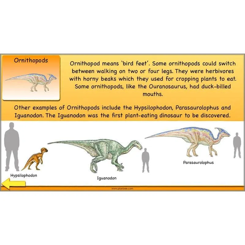 The Prehistoric World Topic (Stone Age to Iron Age)