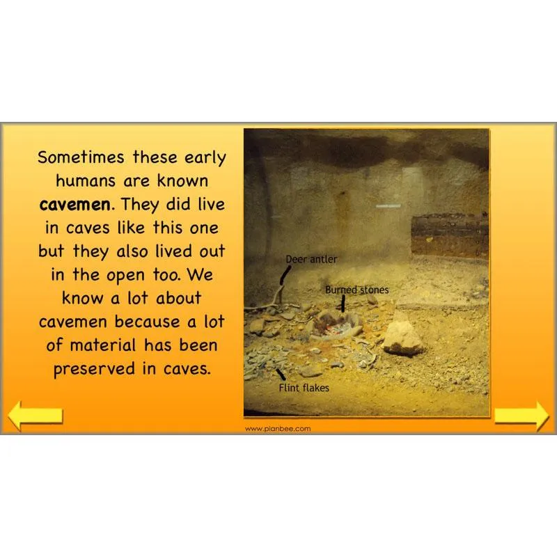 The Prehistoric World Topic (Stone Age to Iron Age)