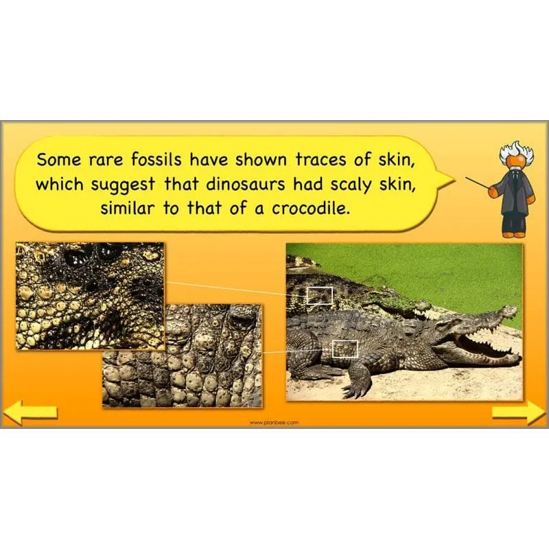 The Prehistoric World Topic (Stone Age to Iron Age)