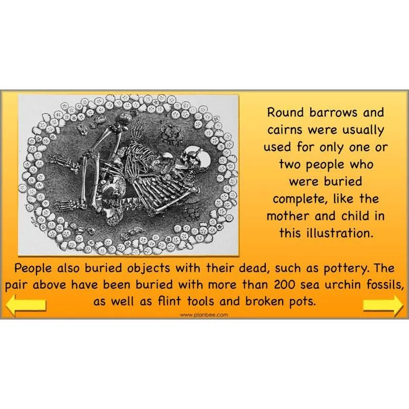 The Prehistoric World Topic (Stone Age to Iron Age)
