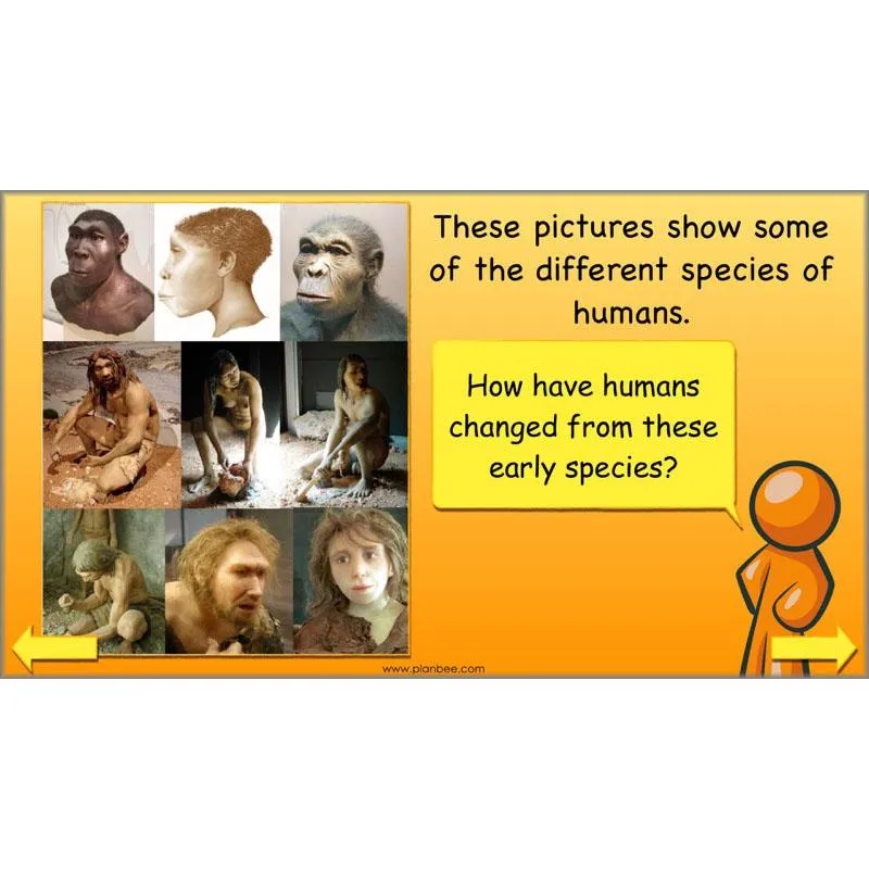 The Prehistoric World Topic (Stone Age to Iron Age)
