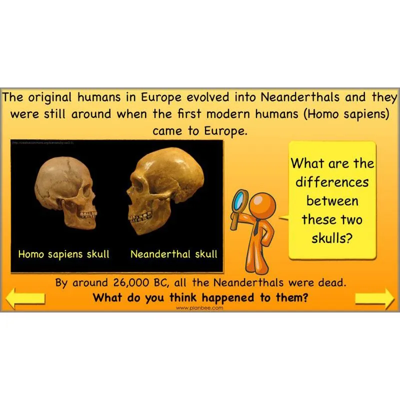 The Prehistoric World Topic (Stone Age to Iron Age)