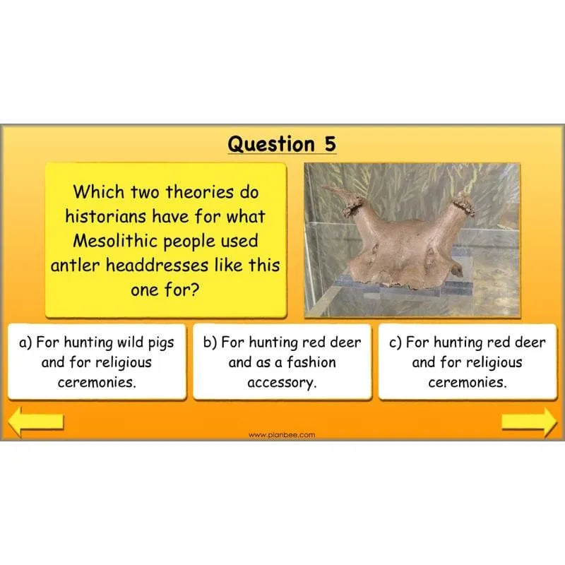 The Prehistoric World Topic (Stone Age to Iron Age)