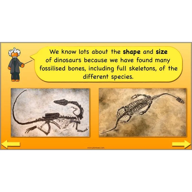 The Prehistoric World Topic (Stone Age to Iron Age)