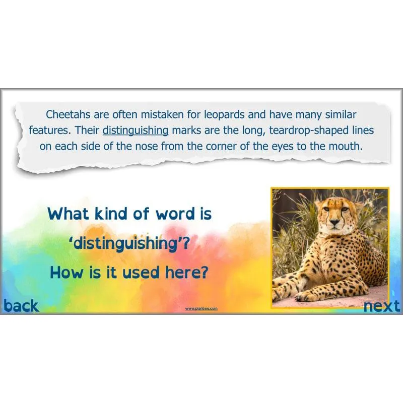 This is Me English Pack